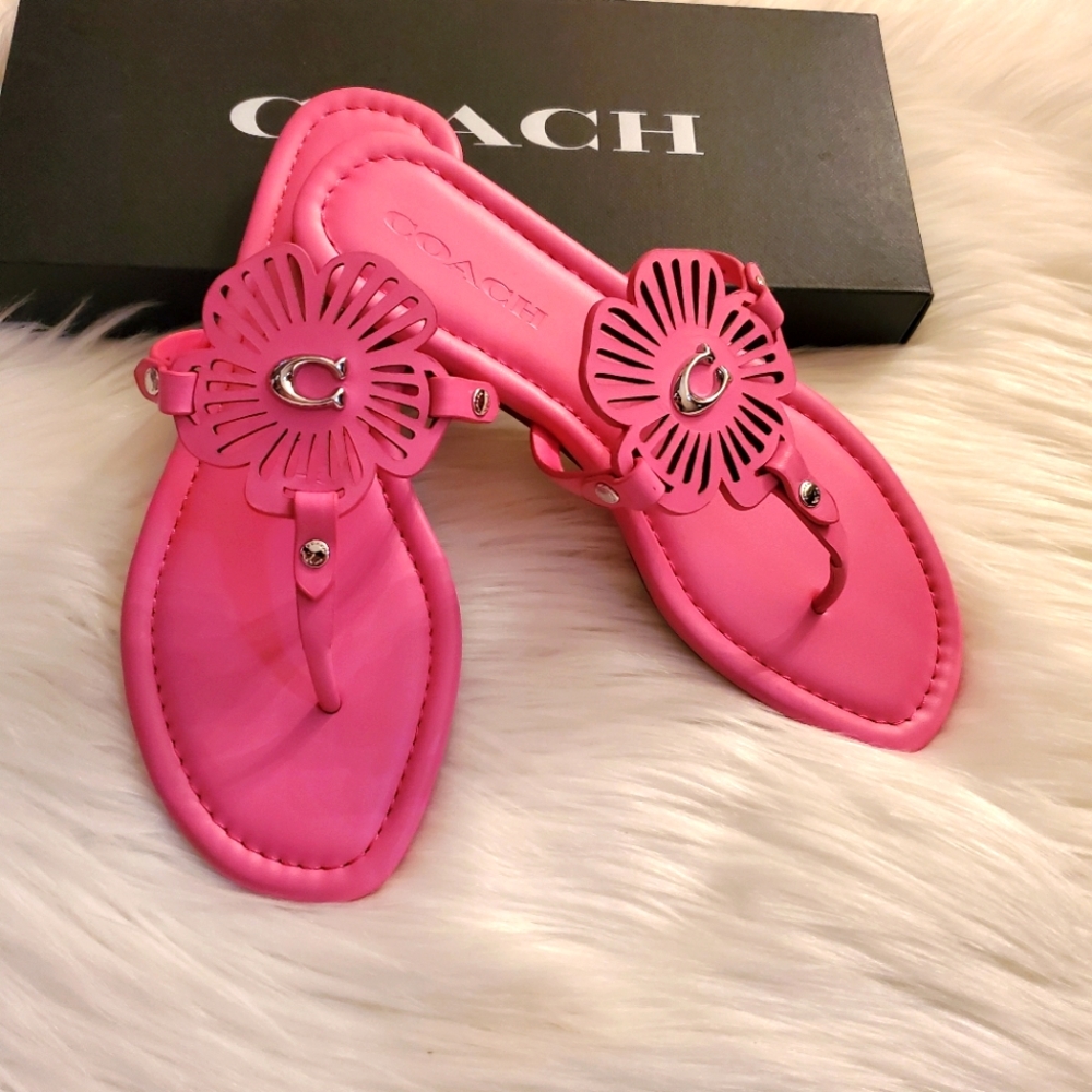Coach sandals